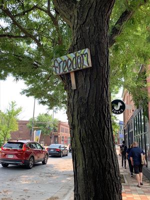 Freedom Sign on a tree on North 24th Street